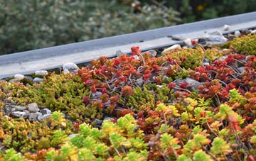 the cost of Cabus green roof installation