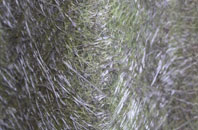 Cabus fibreglass roof work