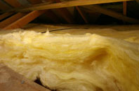 Cabus pitch roof insulation