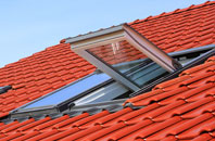Cabus roof window